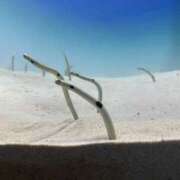 ヒメ日記 2025/07/24 12:16 投稿 ふうか ぼくらのデリヘルランドin久喜店