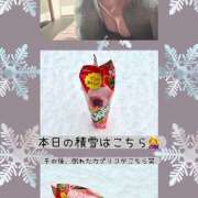 ヒメ日記 2026/02/08 11:52 投稿 佐久間 クラリスDAO