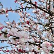 佐久間 さくまです.° クラリスDAO