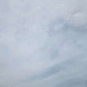 ヒメ日記 2025/08/09 12:00 投稿 せな 性腺熟女100％鶯谷（デリヘル市場）