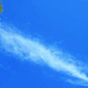 ヒメ日記 2025/09/06 12:00 投稿 せな 性腺熟女100％鶯谷（デリヘル市場）