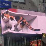 ヒメ日記 2025/09/11 17:30 投稿 せな 性腺熟女100％鶯谷（デリヘル市場）