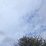 ヒメ日記 2025/09/15 12:00 投稿 せな 性腺熟女100％鶯谷（デリヘル市場）