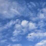 ヒメ日記 2025/09/26 12:00 投稿 せな 性腺熟女100％鶯谷（デリヘル市場）