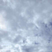 ヒメ日記 2025/10/06 12:50 投稿 せな 性腺熟女100％鶯谷（デリヘル市場）