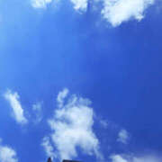 ヒメ日記 2025/10/10 12:15 投稿 せな 性腺熟女100％鶯谷（デリヘル市場）