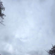 ヒメ日記 2025/10/12 12:00 投稿 せな 性腺熟女100％鶯谷（デリヘル市場）