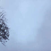 ヒメ日記 2025/10/15 12:05 投稿 せな 性腺熟女100％鶯谷（デリヘル市場）