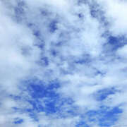 ヒメ日記 2025/10/24 12:00 投稿 せな 性腺熟女100％鶯谷（デリヘル市場）