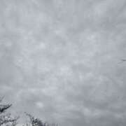 ヒメ日記 2025/10/31 12:00 投稿 せな 性腺熟女100％鶯谷（デリヘル市場）