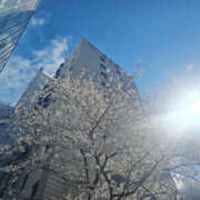 ヒメ日記 2026/04/02 14:30 投稿 せな 性腺熟女100％鶯谷（デリヘル市場）