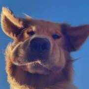 なぎ ※無題 エンジェルシリカ