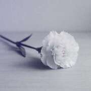 ヒメ日記 2025/08/06 15:15 投稿 みお 横浜熟女MAX