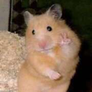 ヒメ日記 2025/08/21 14:41 投稿 ☆あむ☆ 学校帰りの妹に手コキしてもらった件 谷九