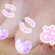 ヒメ日記 2025/10/09 09:20 投稿 ここあ 三浦屋別館