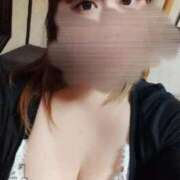 ヒメ日記 2025/11/12 11:56 投稿 ここあ 三浦屋別館