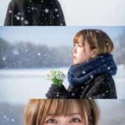 ここあ 🫶🏻‎💗*゜ 三浦屋別館