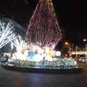 ヒメ日記 2025/12/16 15:56 投稿 ここあ 三浦屋別館