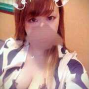 ヒメ日記 2026/01/08 00:01 投稿 ここあ 三浦屋別館