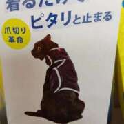 ヒメ日記 2025/09/19 17:56 投稿 さくら 三浦屋別館