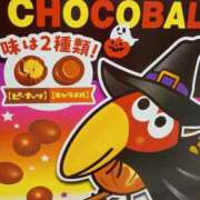 ヒメ日記 2025/09/29 13:26 投稿 さくら 三浦屋別館