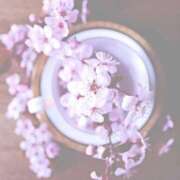 ヒメ日記 2025/10/13 12:36 投稿 さくら 三浦屋別館