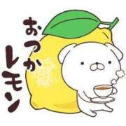 ヒメ日記 2025/10/31 14:26 投稿 さくら 三浦屋別館