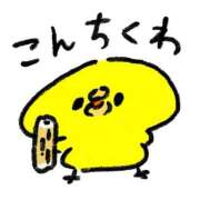 ヒメ日記 2025/11/10 11:06 投稿 さくら 三浦屋別館