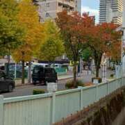 ヒメ日記 2025/11/12 20:36 投稿 さくら 三浦屋別館