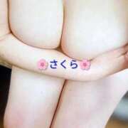 ヒメ日記 2026/03/03 11:26 投稿 さくら 三浦屋別館