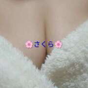 ヒメ日記 2026/04/23 21:26 投稿 さくら 三浦屋別館