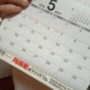 ヒメ日記 2026/05/28 21:26 投稿 さくら 三浦屋別館