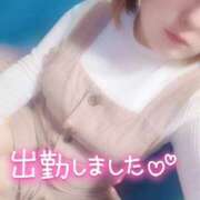 ヒメ日記 2026/03/03 10:30 投稿 ひなの 宮城仙南ちゃんこ