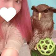 ヒメ日記 2025/07/29 22:40 投稿 のどか Venti大阪