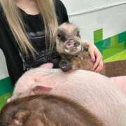 ヒメ日記 2025/10/13 17:26 投稿 ありあ One More奥様　横浜関内店