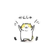 ヒメ日記 2025/08/07 19:28 投稿 熟女 れん ハナミズキ