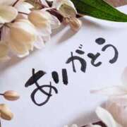 ヒメ日記 2025/10/11 08:24 投稿 熟女 れん ハナミズキ