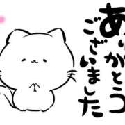 ヒメ日記 2025/11/03 14:40 投稿 熟女 れん ハナミズキ