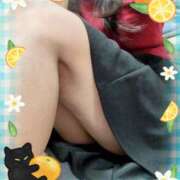 ヒメ日記 2025/11/19 20:08 投稿 熟女 れん ハナミズキ