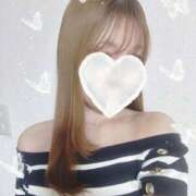 ヒメ日記 2025/07/07 00:07 投稿 もも 横浜ひよこ倶楽部