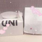 ヒメ日記 2025/07/18 21:36 投稿 もも 横浜ひよこ倶楽部