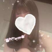 ヒメ日記 2025/07/25 14:16 投稿 もも 横浜ひよこ倶楽部