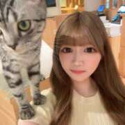 ヒメ日記 2025/07/25 16:18 投稿 ふうか 姫コレクション 高崎前橋店