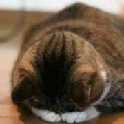 ヒメ日記 2025/07/19 10:07 投稿 森下りこ 恋する奥さん 西中島店