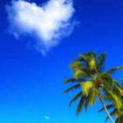 ヒメ日記 2025/08/07 15:52 投稿 森下りこ 恋する奥さん 西中島店