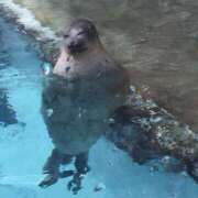 ヒメ日記 2025/09/10 09:35 投稿 森下りこ 恋する奥さん 西中島店