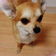 ヒメ日記 2025/11/05 09:33 投稿 森下りこ 恋する奥さん 西中島店