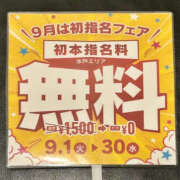 ひなた 9月は初指名フェア！！ PLATINA