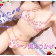 ヒメ日記 2025/11/17 15:23 投稿 一ノ瀬えりか 五十路マダム 沼津店(カサブランカグループ)