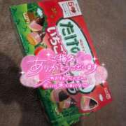 ヒメ日記 2026/02/22 18:26 投稿 ろはん MAHARAJA(マハラジャ)千葉